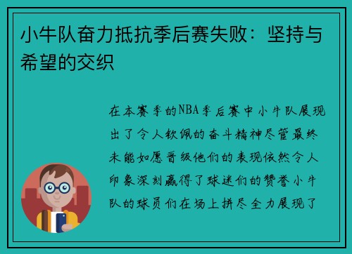 小牛队奋力抵抗季后赛失败：坚持与希望的交织