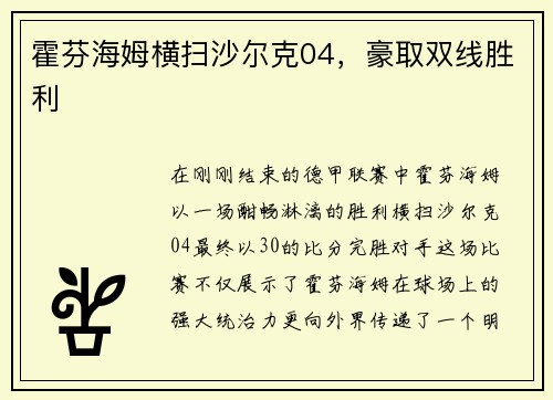 霍芬海姆横扫沙尔克04，豪取双线胜利